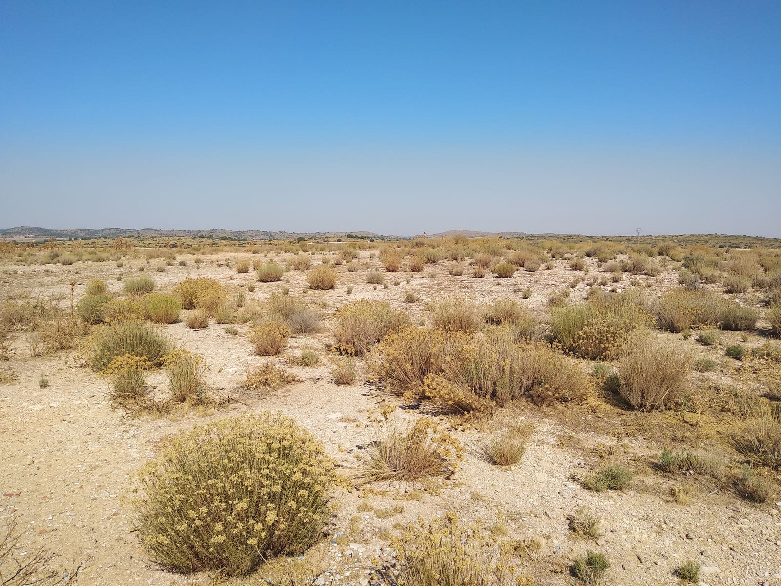 Aeródromo de Pozo Cañada — 6